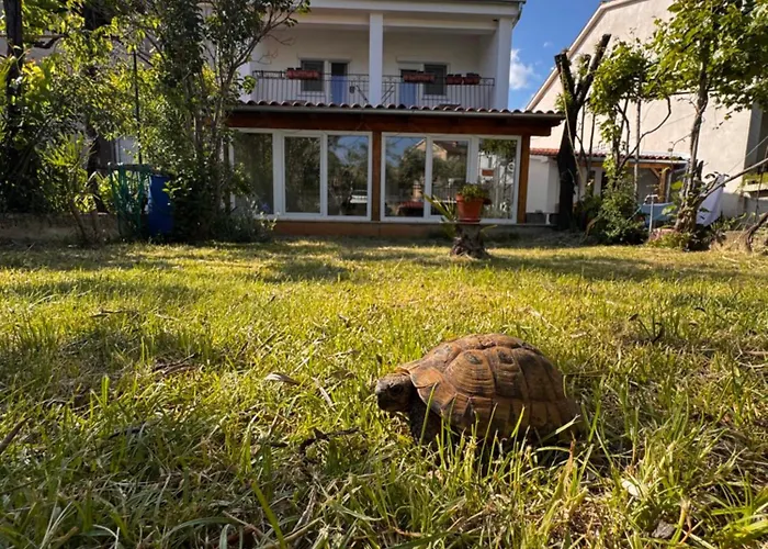 Vakantiehuis Casa Della Tartaruga *