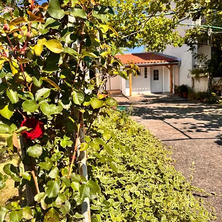 Casa Della Tartaruga *