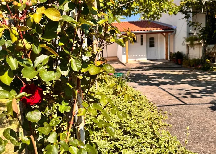 Casa Della Tartaruga *